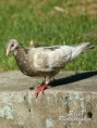 /album/zvierata/dsc01682-jpg/