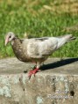 /album/zvierata/dsc01682-fhdr-jpg/